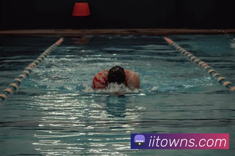 澳门威尼斯人网站平台生态图