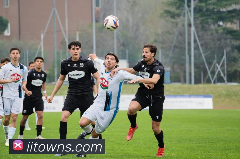 App 示例图